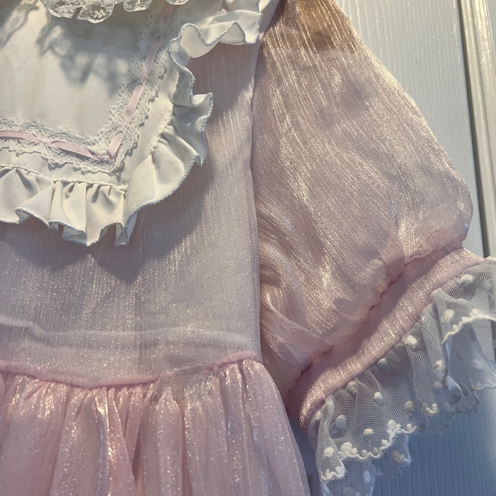 Pink Sheer Ruffled Dress - Picture 5 of 9
